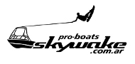 Example Logo Skywake.jpg